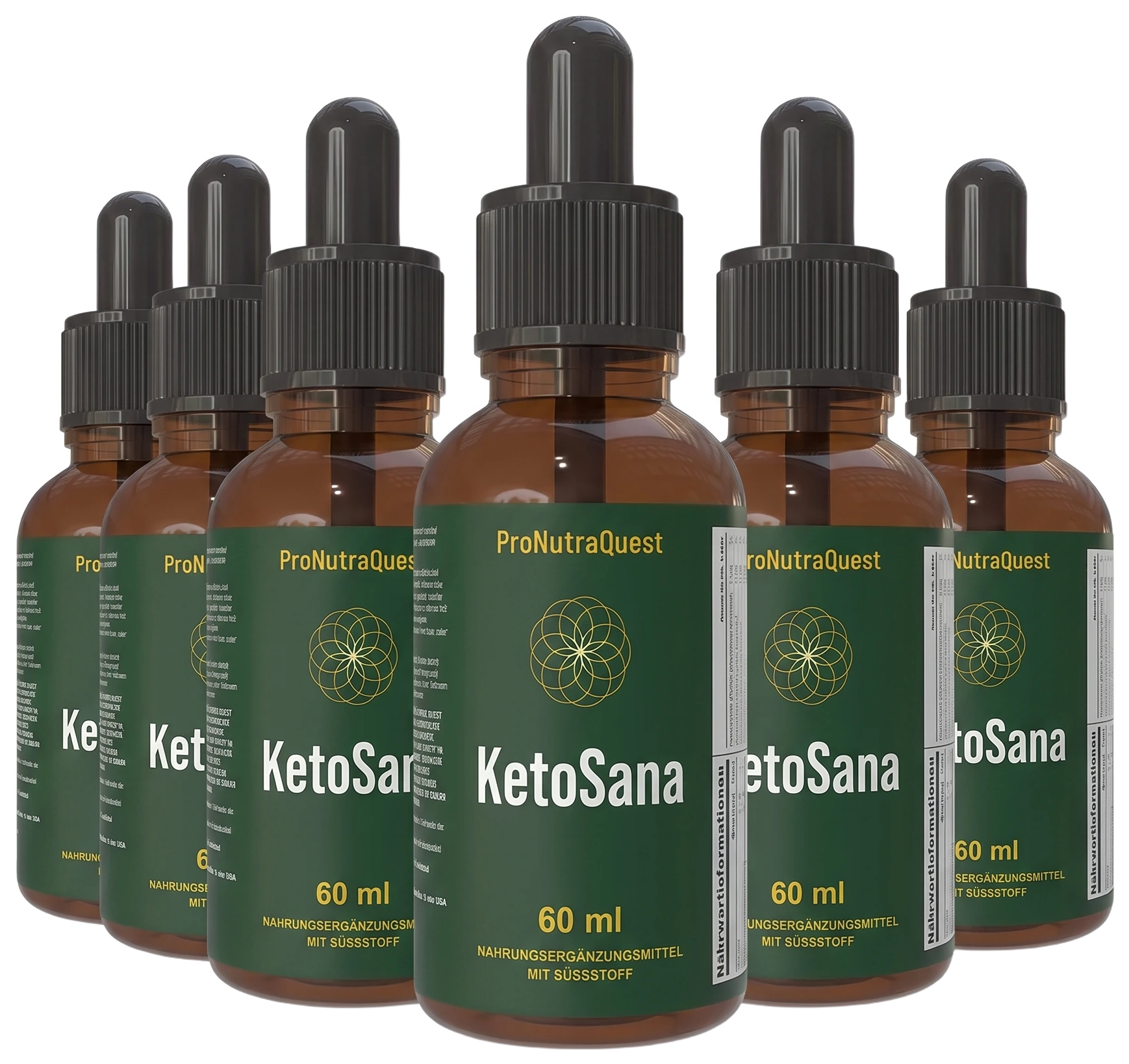 KetoSana von ProNutraQuest – sechs Flaschen, sublinguale Tropfen
